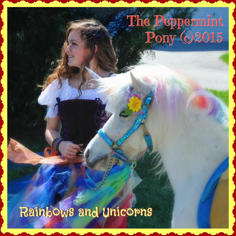 Rainbow Fairy Rainbow Unicorn Pony Lover's Package Party 